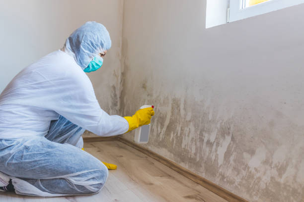 Bathroom Mold Removal assessment in Jacksonville bathroom