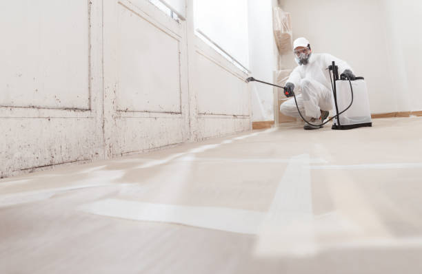 Black mold remediation team in Jacksonville